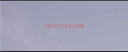 小法牛几个月可以洗澡