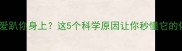 狗狗总爱趴你身上这5个科学原因让你秒懂它的依赖