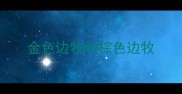 金色边牧和棕色边牧