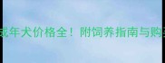 金毛寻回犬成年犬价格全附饲养指南与购买避坑攻略