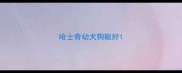 哈士奇幼犬狗粮好