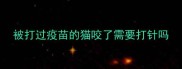 被打过疫苗的猫咬了需要打针吗