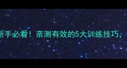 哈士奇训练全攻略新手必看亲测有效的5大训练技巧让二哈秒变乖宝宝