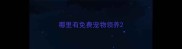 哪里有免费宠物领养