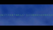 幼猫三个月体重不增怎么办五大关键原因与科学喂养指南