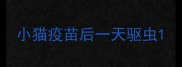 小猫疫苗后一天驱虫