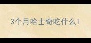 3个月哈士奇吃什么