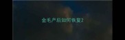 金毛产后如何恢复