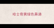 哈士奇黄绿色鼻涕