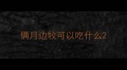 俩月边牧可以吃什么