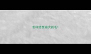 怎样给泰迪犬剃毛