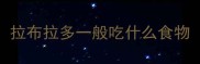 拉布拉多一般吃什么食物