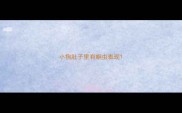 小狗肚子里有蛔虫表现