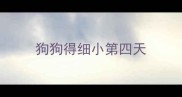 狗狗得细小第四天