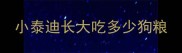 小泰迪长大吃多少狗粮