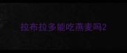 拉布拉多能吃燕麦吗