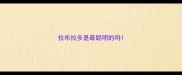 拉布拉多是最聪明的吗