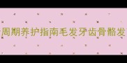 泰迪幼犬30天到1岁全周期养护指南毛发牙齿骨骼发育全攻略新手必看