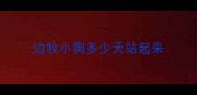 边牧小狗多少天站起来