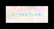 五个月泰迪不让洗澡