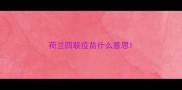 荷兰四联疫苗什么意思