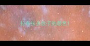 拉布拉多肚子的颜色