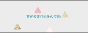 茶杯犬要打些什么疫苗