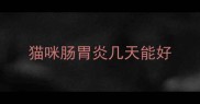 猫咪肠胃炎几天能好