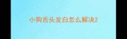 小狗舌头发白怎么解决