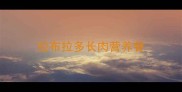 拉布拉多长肉营养餐