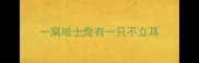 一窝哈士奇有一只不立耳