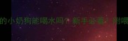 1个月大的小奶狗能喝水吗新手必看附喂水全攻略