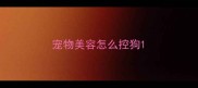 宠物美容怎么控狗