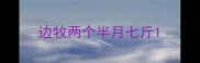 边牧两个半月七斤