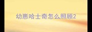 幼崽哈士奇怎么照顾