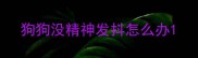 狗狗没精神发抖怎么办