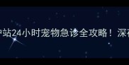 大连深夜萌宠守护站24小时宠物急诊全攻略深夜毛孩子生病别慌张