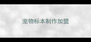 宠物标本制作加盟