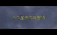 十二星座专属宠物