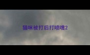 猫咪被打后打喷嚏