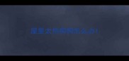 屋里太热狗狗怎么办