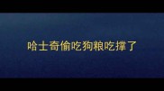 哈士奇偷吃狗粮吃撑了