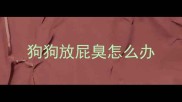 狗狗放屁臭怎么办