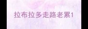 拉布拉多走路老累