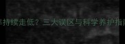 边境牧羊犬饲养率持续走低三大误区与科学养护指南附品种特性