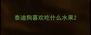 泰迪狗喜欢吃什么水果