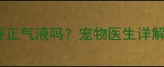狗狗中暑或肠胃不适能喝藿香正气液吗宠物医生详解人用药使用风险与替代方案