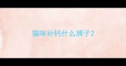 猫咪补钙什么牌子