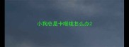 小狗总是卡喉咙怎么办