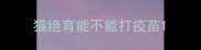 猫绝育能不能打疫苗